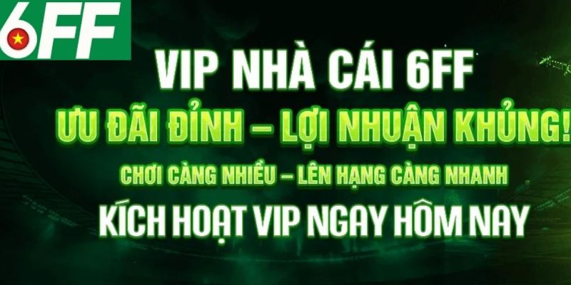 6FF thương hiệu cá cược có từ rất lâu đời