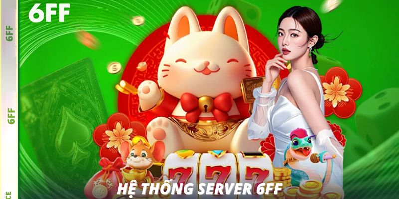 Hệ thống server 6FF là gì?